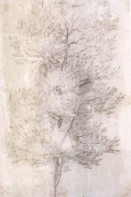 Claude Lorrain A Tree Trunks (mk17) China oil painting art